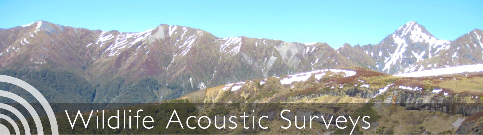Wildlife Acoustics Surveys Banner